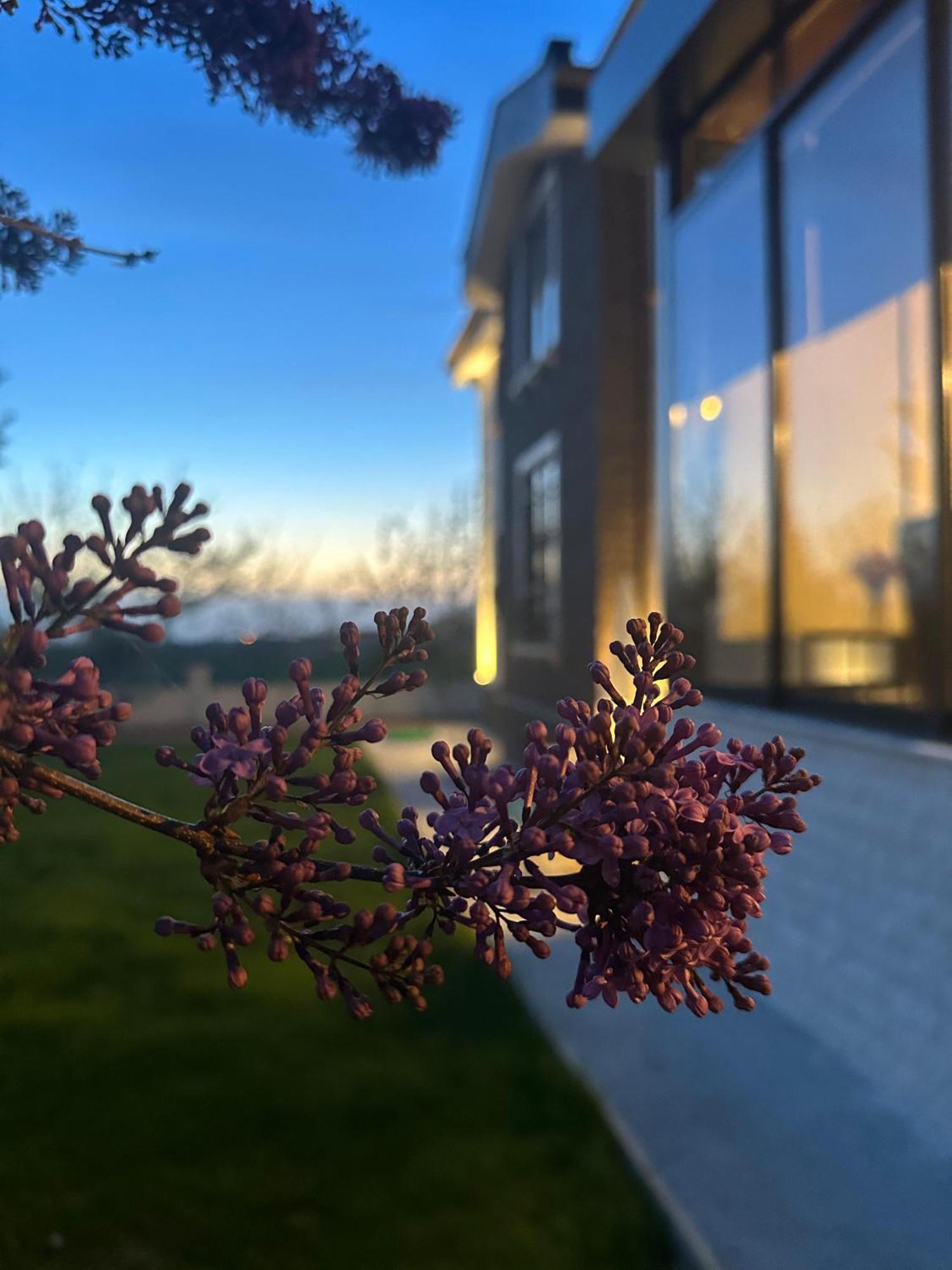 Cappadocia Villa Comfort Невшехир Экстерьер фото